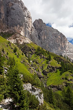 High meadow and south rocky wall of Marmolada, Ombretta valley, dolomites, Veneto, Italy, Europe