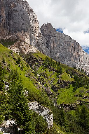 High meadow and south rocky wall of Marmolada, Ombretta valley, dolomites, Veneto, Italy, Europe High meadow and south rocky wall of Marmolada, Ombretta valley, dolomites, Veneto, Italy, Europe