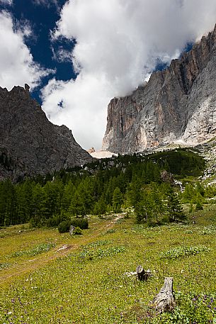 Pian Ombretta and in the background the Ombretta pass and the south cliff of Marmolada mount, dolomites, Veneto, Italy, Europe