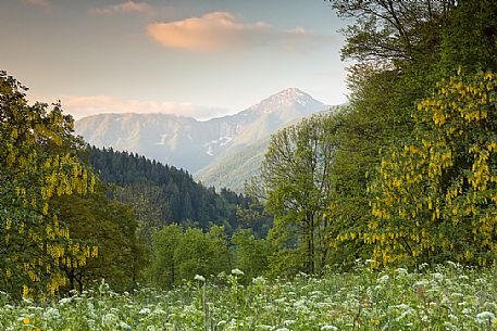 Spring landscape of the meadows in Avaglio and Trava village, Carnia, Friuli Venezia Giulia, Italy, Europe Spring landscape of the meadows in Avaglio and Trava village, Carnia, Friuli Venezia Giulia, Italy, Europe