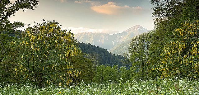 Spring landscape of the meadows in Avaglio and Trava village, Carnia, Friuli Venezia Giulia, Italy, Europe Spring landscape of the meadows in Avaglio and Trava village, Carnia, Friuli Venezia Giulia, Italy, Europe