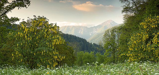 Spring landscape of the meadows in Avaglio and Trava village, Carnia, Friuli Venezia Giulia, Italy, Europe