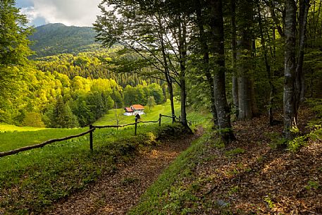 Spring landscape of the meadows in Avaglio and Trava village, Carnia, Friuli Venezia Giulia, Italy, Europe Spring landscape of the meadows in Avaglio and Trava village, Carnia, Friuli Venezia Giulia, Italy, Europe