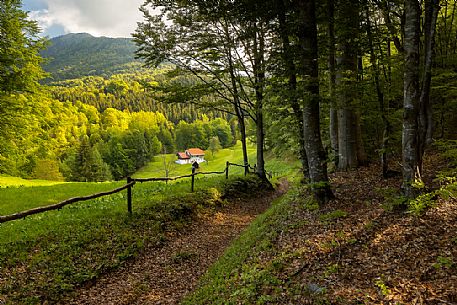 Spring landscape of the meadows in Avaglio and Trava village, Carnia, Friuli Venezia Giulia, Italy, Europe