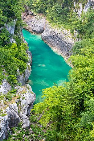 Cellina river in the Forra del Cellina natural park, Unesco World Heritage, Friuli Venezia Giulia, dolomites, Italy, Europe Cellina river in the Forra del Cellina natural park, Unesco World Heritage, Friuli Venezia Giulia, dolomites, Italy, Europe