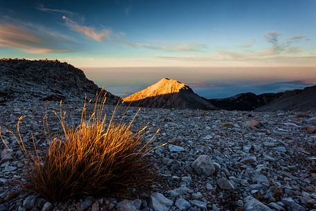 Blades of grass at sunset in the amphitheater of the Murelle, Majella national park, Abruzzo, Italy, Europe