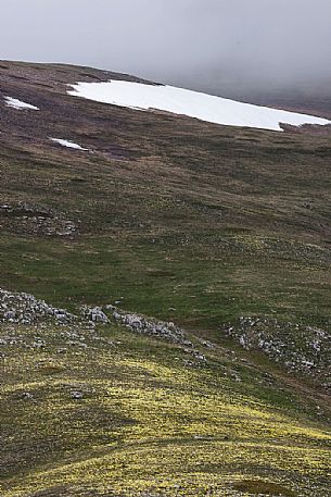 Thaw in the slope of Campo Imperatore, Gran Sasso and Monti della Laga national park, Abruzzo, Italy, Europe Thaw in the slope of Campo Imperatore, Gran Sasso and Monti della Laga national park, Abruzzo, Italy, Europe