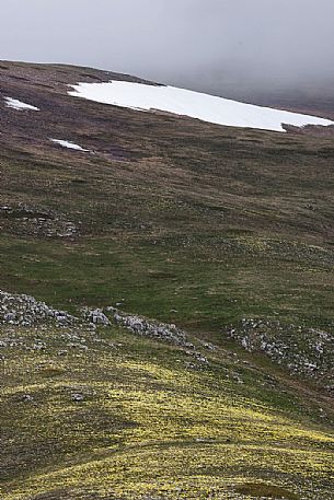 Thaw in the slope of Campo Imperatore, Gran Sasso and Monti della Laga national park, Abruzzo, Italy, Europe