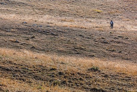 Beautiful sunshine landscape with shepherd in Campo Imperatore, Gran Sasso national park, Abruzzo, Italy, Europe