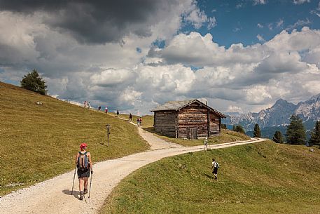 Hikers along the path to Utia Vaciara hut, Longiarù San Martino in Badia, Alta Badia, dolomites,Trentino Alto Adige, Italy, Europe Hikers along the path to Utia Vaciara hut, Longiarù San Martino in Badia, Alta Badia, dolomites,Trentino Alto Adige, Italy, Europe