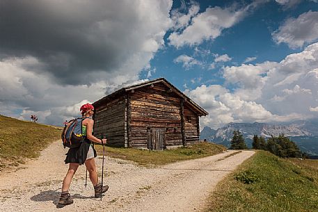 Hiker along the path to Utia Vaciara hut, Longiar San Martino in Badia, Alta Badia, dolomites,Trentino Alto Adige, Italy, Europe