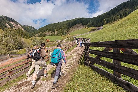 Hikers in the Valle dei Mulini valley, Longiarù, Badia valley, dolomites, Trentino Alto Adige, Italy, Europe Hikers in the Valle dei Mulini valley, Longiarù, Badia valley, dolomites, Trentino Alto Adige, Italy, Europe