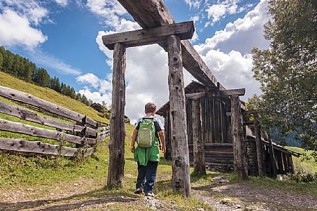 Child walks under the ancient water transport channel to the mill, valle di Mulini, Longiar, valle Badia, dolomites, Trentino Alto Adige, Italy, Europe

