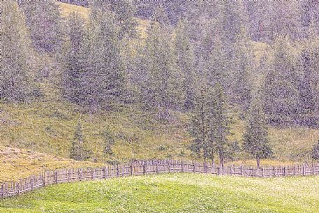 Summer rain in Badia valley, dolomites, Trentino Alto Adige, Italy, Europe