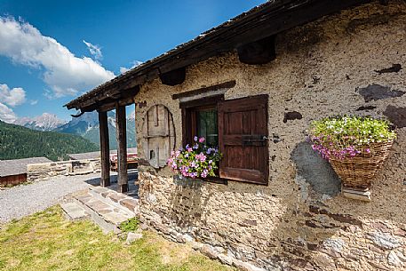 Detail of Ielma alm and in the background the Pesarine mountain range, Prato Carnico, Carnia, Friuli Venezia Giulia, dolomites, Italy, Europe