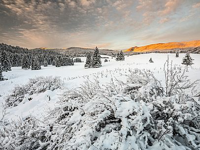 Wintry sunrise in the Piana Cansiglio plateau, Veneto, Italy, Europe