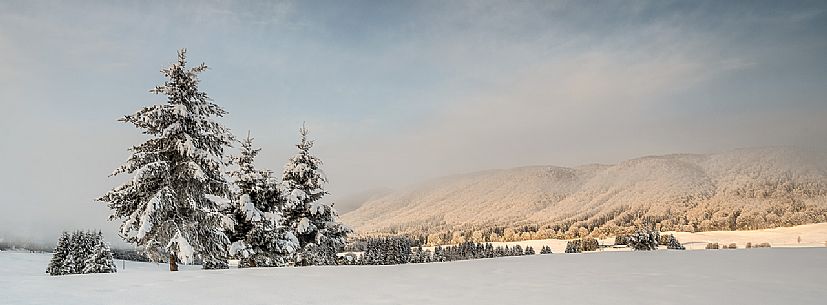 Wintry sunrise in the Piana Cansiglio plateau, Veneto, Italy, Europe