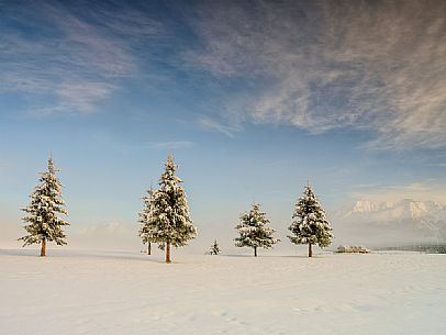 Wintry sunrise in the Piana Cansiglio plateau, Veneto, Italy, Europe