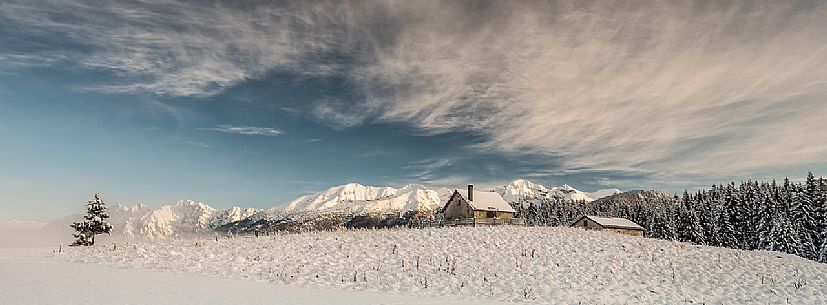 Winter in the Piana Cansiglio plateau and in the background the Monte Cavallo mountain range, Veneto, Italy, Europe Winter in the Piana Cansiglio plateau and in the background the Monte Cavallo mountain range, Veneto, Italy, Europe