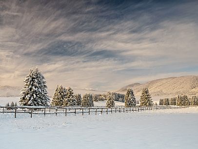 Wintry sunrise in the Piana Cansiglio plateau, Veneto, Italy, Europe