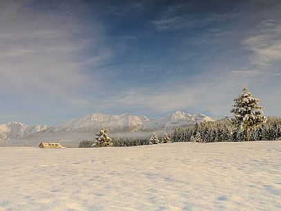 Winter in the Piana Cansiglio plateau and in the background the Monte Cavallo mountain range, Veneto, Italy, Europe