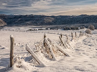 Winter path in the Piana Cansiglio plateau, Veneto, Italy, Europe