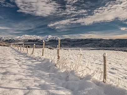 Winter path in the Piana Cansiglio plateau and in the background the Monte Cavallo mountain range, Veneto, Italy, Europe Winter path in the Piana Cansiglio plateau and in the background the Monte Cavallo mountain range, Veneto, Italy, Europe