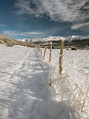 Winter path in the Piana Cansiglio plateau and in the background the Monte Cavallo mountain range, Veneto, Italy, Europe Winter path in the Piana Cansiglio plateau and in the background the Monte Cavallo mountain range, Veneto, Italy, Europe