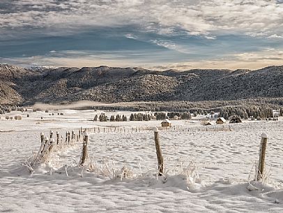 Winter path in the Piana Cansiglio plateau, Veneto, Italy, Europe Winter path in the Piana Cansiglio plateau, Veneto, Italy, Europe