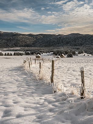 Winter path in the Piana Cansiglio plateau, Veneto, Italy, Europe Winter path in the Piana Cansiglio plateau, Veneto, Italy, Europe