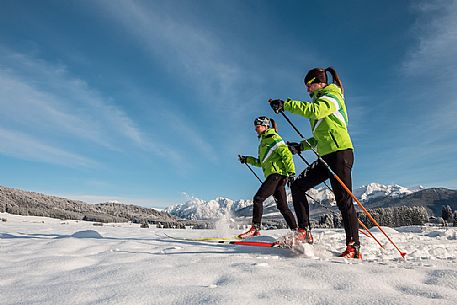 Cross country ski in the fresh snow and in the background the monte Cavallo mountain range, Cansiglio plateau, Veneto, Alps, Italy, Europe