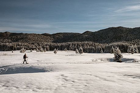 Snowshoe hike in the winter path in the Piana Cansiglio plateau, Veneto, Italy, Europe Snowshoe hike in the winter path in the Piana Cansiglio plateau, Veneto, Italy, Europe