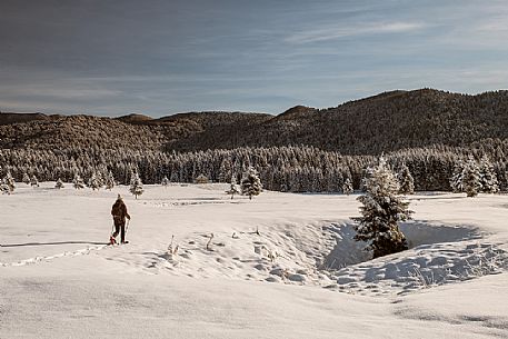 Snowshoe hike in the winter path in the Piana Cansiglio plateau, Veneto, Italy, Europe Snowshoe hike in the winter path in the Piana Cansiglio plateau, Veneto, Italy, Europe