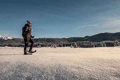 Snowshoe hike in the winter path in the Piana Cansiglio plateau, Veneto, Italy, Europe Snowshoe hike in the winter path in the Piana Cansiglio plateau, Veneto, Italy, Europe
