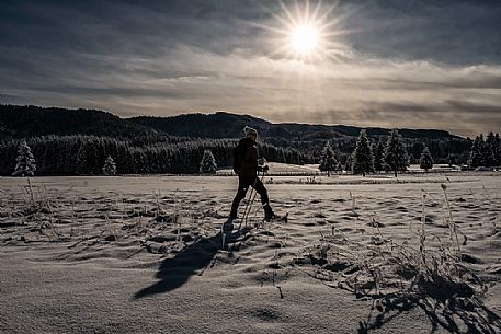 Snowshoe hike in the winter path in the Piana Cansiglio plateau, Veneto, Italy, Europe Snowshoe hike in the winter path in the Piana Cansiglio plateau, Veneto, Italy, Europe