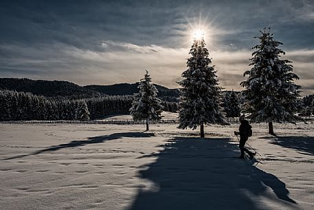 Snowshoe hike in the winter path in the Piana Cansiglio plateau, Veneto, Italy, Europe Snowshoe hike in the winter path in the Piana Cansiglio plateau, Veneto, Italy, Europe