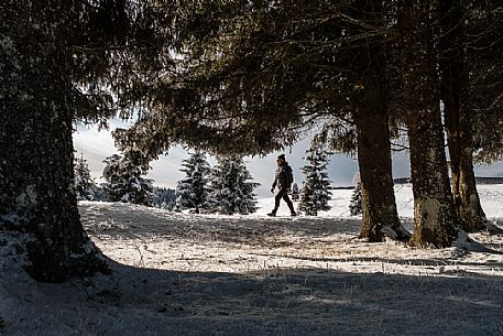 Winter hiking in the Cansiglio forest, Veneto, Italy, Europe Winter hiking in the Cansiglio forest, Veneto, Italy, Europe