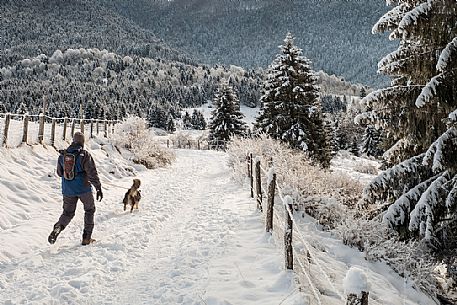 Hiker with dog in Val Menera, Cansiglio forest, Veneto, Italy, Europe Hiker with dog in Val Menera, Cansiglio forest, Veneto, Italy, Europe
