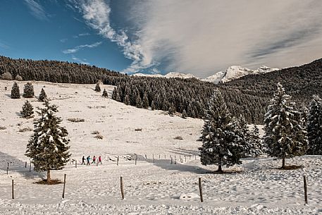 Hikers in Val Menera and in the backgrund the Cavallo mountain range, Cansiglio forest, Veneto, Italy, Europe