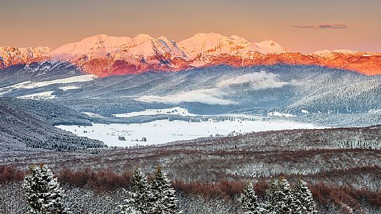 Panoramic view of the Cansiglio plateau surrounded by the forest in a wintry sunrise, in the background the Monte Cavallo mountain range Veneto, Italy, Europe Panoramic view of the Cansiglio plateau surrounded by the forest in a wintry sunrise, in the background the Monte Cavallo mountain range Veneto, Italy, Europe