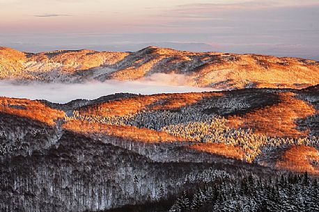 Panoramic view of the Cansiglio forest in a wintry sunrise, Veneto, Italy, Europe Panoramic view of the Cansiglio forest in a wintry sunrise, Veneto, Italy, Europe