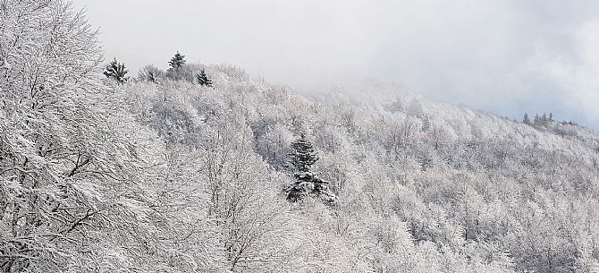 Snowy Cansiglio forest, Veneto, Italy, Europe