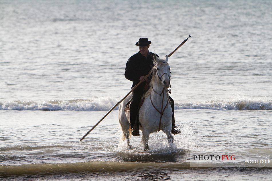 Guardian on horseback