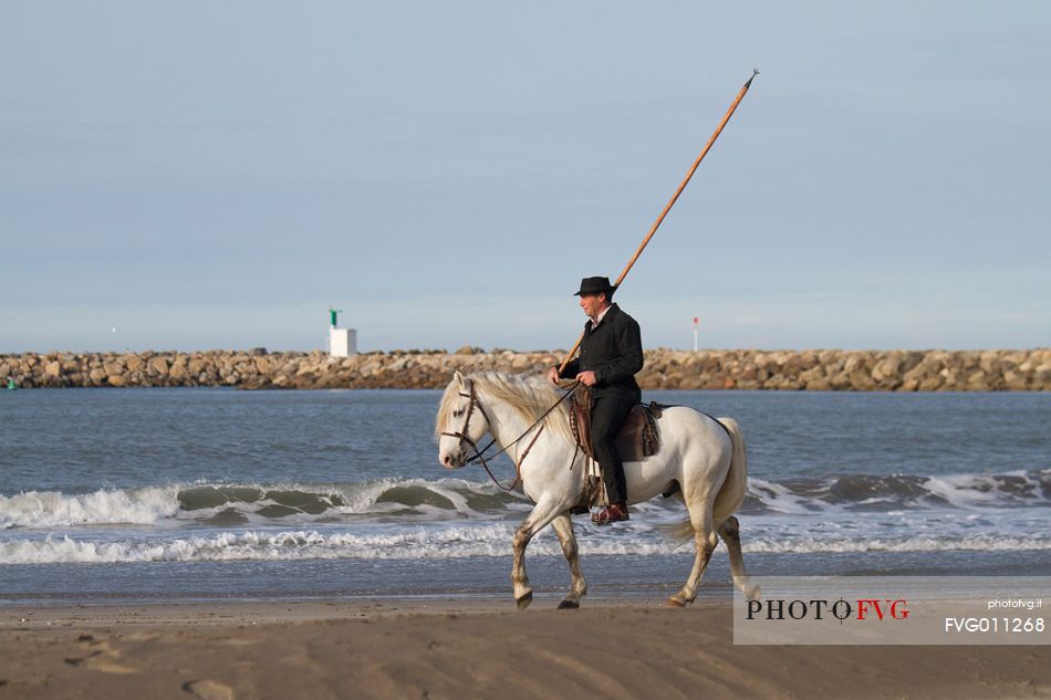 Guardian on horseback