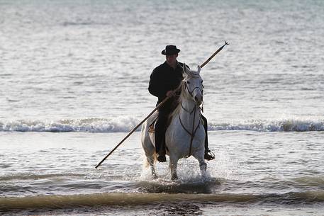 Guardian on horseback