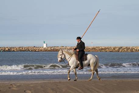 Guardian on horseback