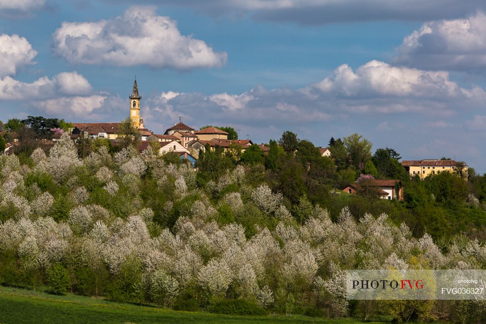 Terruggia village in spring, Monferrato, Piedmont, Italy, Europe