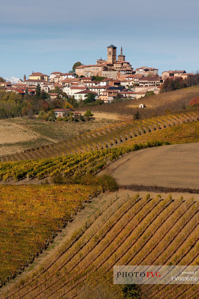 The vineyards in front of Grazzano Badoglio in autumn, Monferrato, Piedmont, Italy, Europe