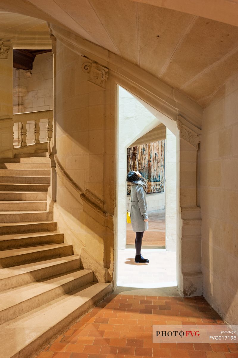 The Chateau de Chambord is the greatest of the castles in the Loire Valley. It is one of the most important castles in the french Renaissance too, as it is supposed to have been designed by Leonardo da Vinci. It is famous its double helical ramp. It is surrounded by a great natural area too. 