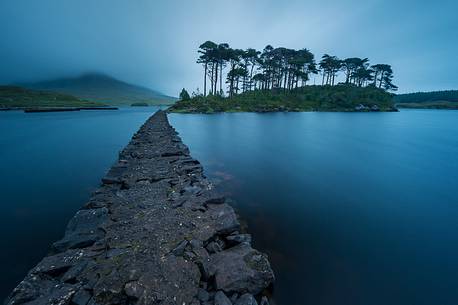 The pine Island in the Derryclare Lough (Lake) after the rain, with the raising fog in the background The pine Island in the Derryclare Lough (Lake) after the rain, with the raising fog in the background